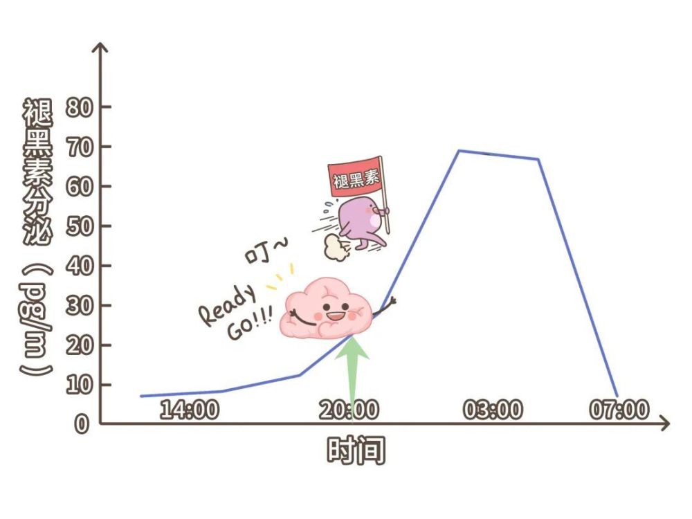 倒头就睡的人，到底是怎么做到的？