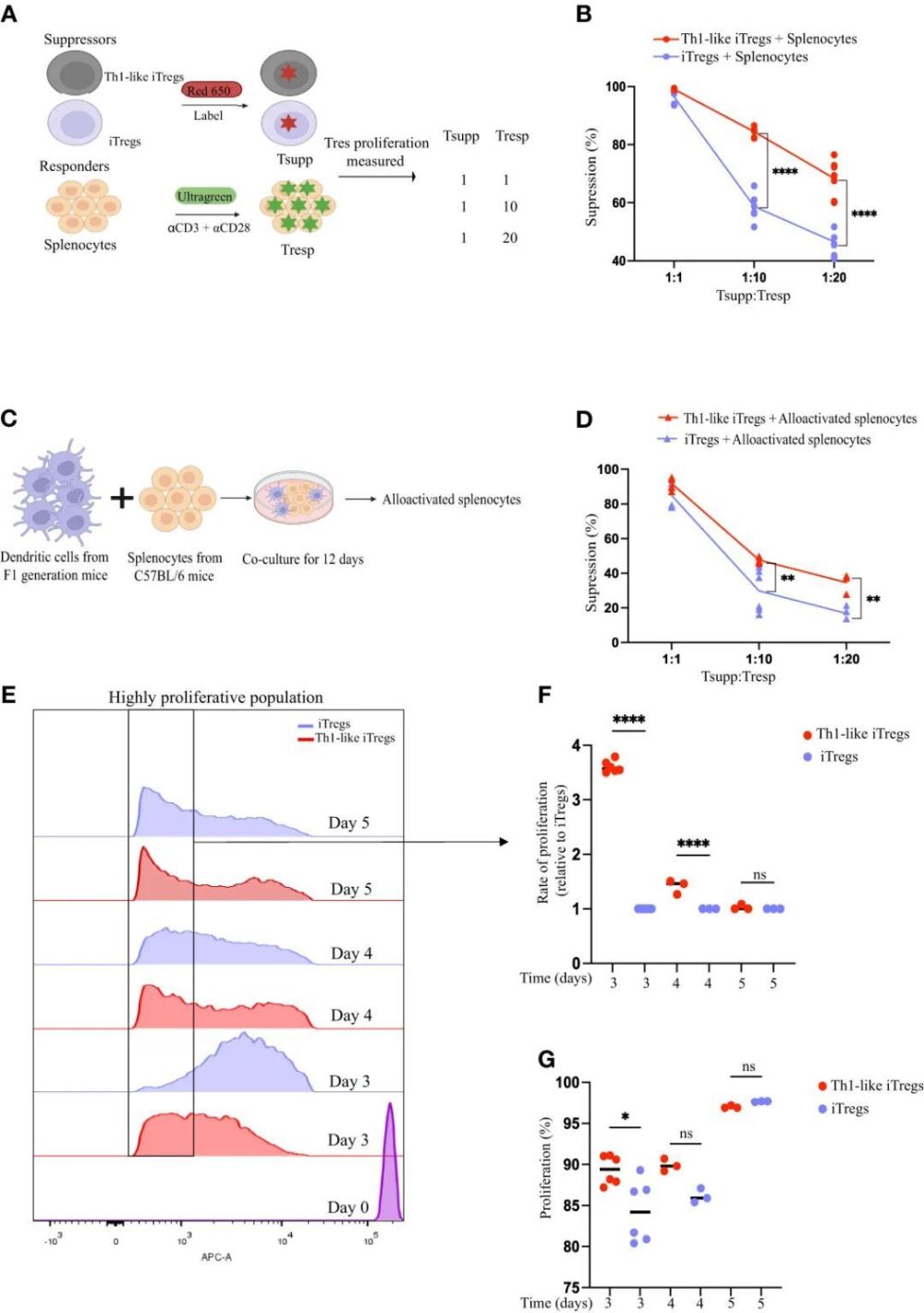 Front Immunol | 科学家识别出能训练细胞抵御自身免疫性疾病的特殊酶类