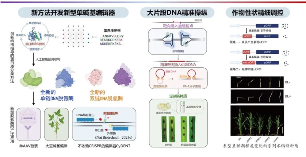 重磅！自然科学基金委和两院院士评选出中国十大科学进展，或为热点风向标