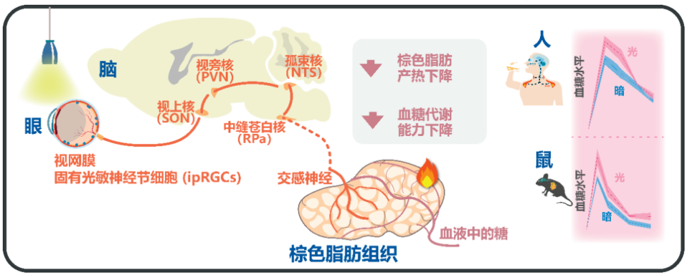 重磅！自然科学基金委和两院院士评选出中国十大科学进展，或为热点风向标