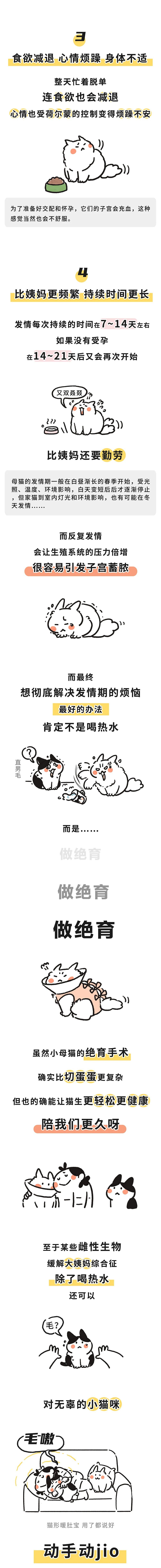 小猫咪也来月经吗？答案可能和你想的不一样