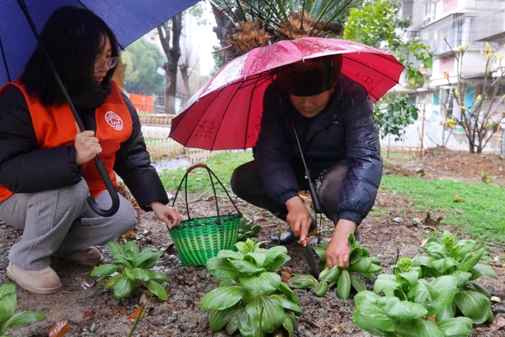 宁波：我为妈妈做道菜！这群“大孩子”做到了