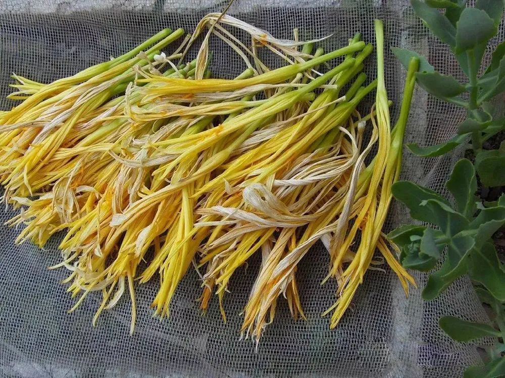 这4种野菜有毒，但价值都很高，第1种是“健脑菜”，最后一种是“高钙菜”