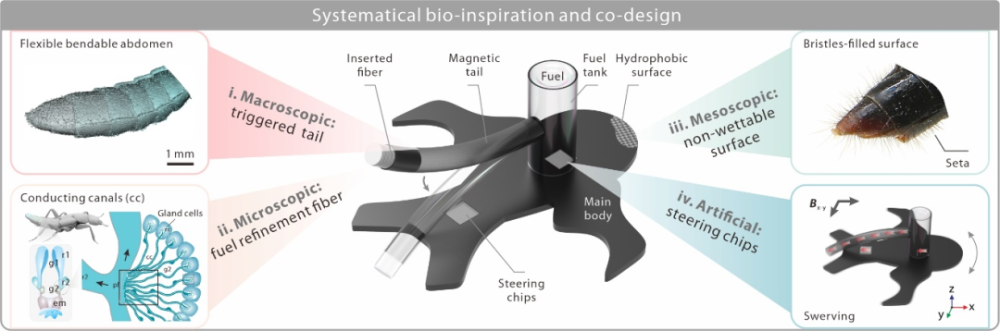 华科大丁汉院士、吴志刚教授团队《自然·通讯》：超快、超敏捷昆虫尺度水面推进器