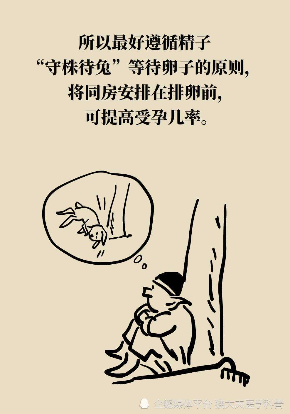 还不会正确监测排卵？来，手把手教您