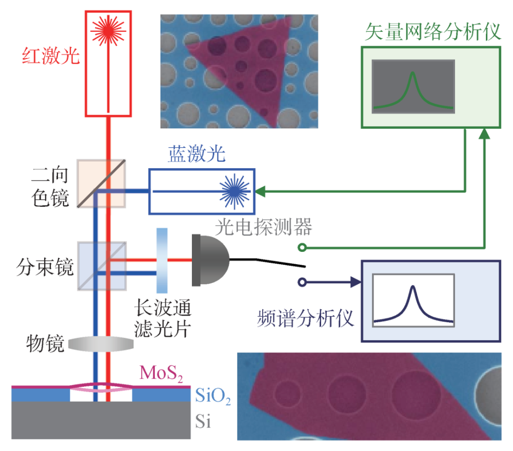 微纳世界的音乐之声——用低维纳米机电器件探索微观世界