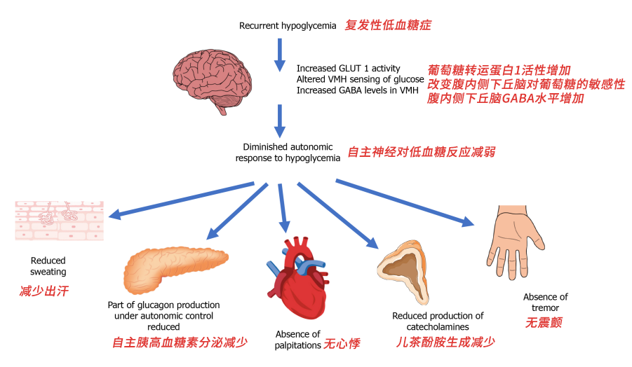 低血糖真的很可怕，严重会要命！！！别再不当回事了！