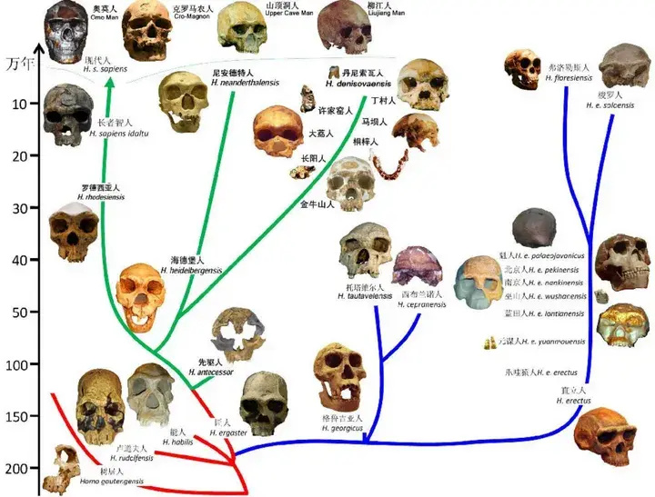 有没有可能存在「天神基因」，拯救人类，渡过一次次灭绝危机？