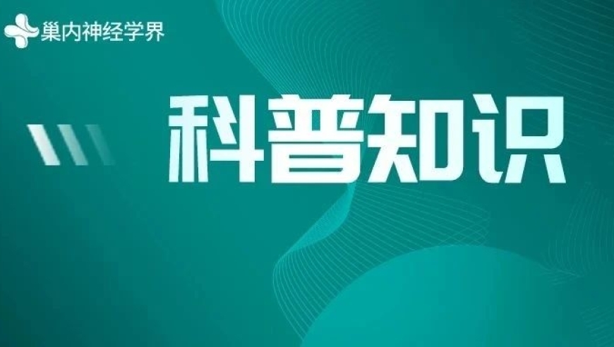 知名漫画家因何去世？急性硬膜下血肿需警惕！如何预防，速来了解！