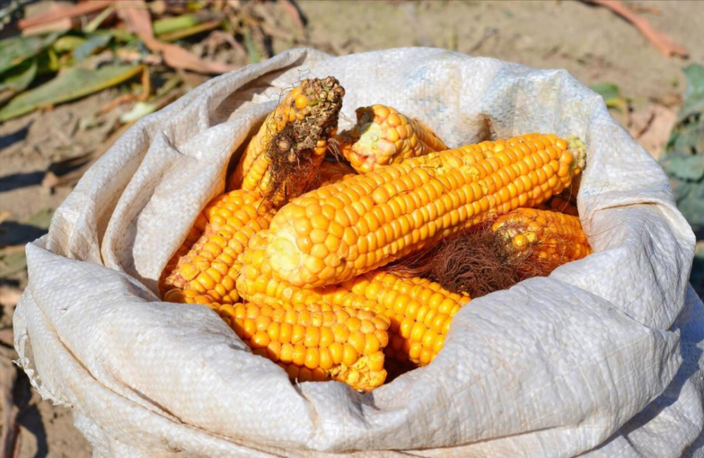 为何我国肝癌越来越多？提醒：3种食物或比喝酒还伤肝，再不忌口就晚了