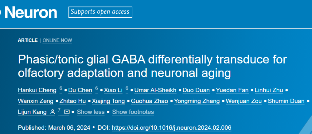 Neuron | 浙江大学康利军团队揭示胶质细胞调控神经元适应性和衰老退变的神经机制