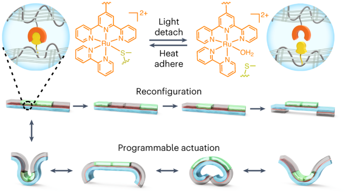 中科大吴思教授，最新Nature Chemistry！