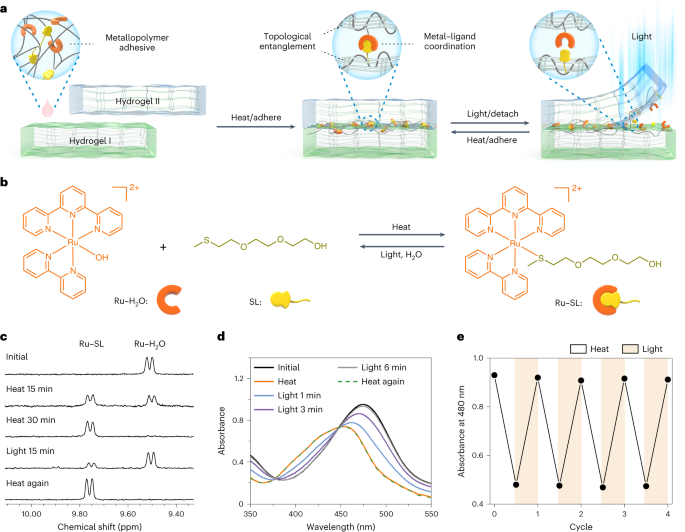 中科大吴思教授，最新Nature Chemistry！