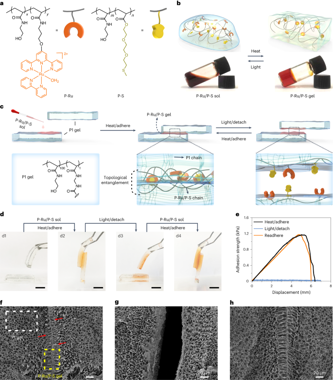 中科大吴思教授，最新Nature Chemistry！