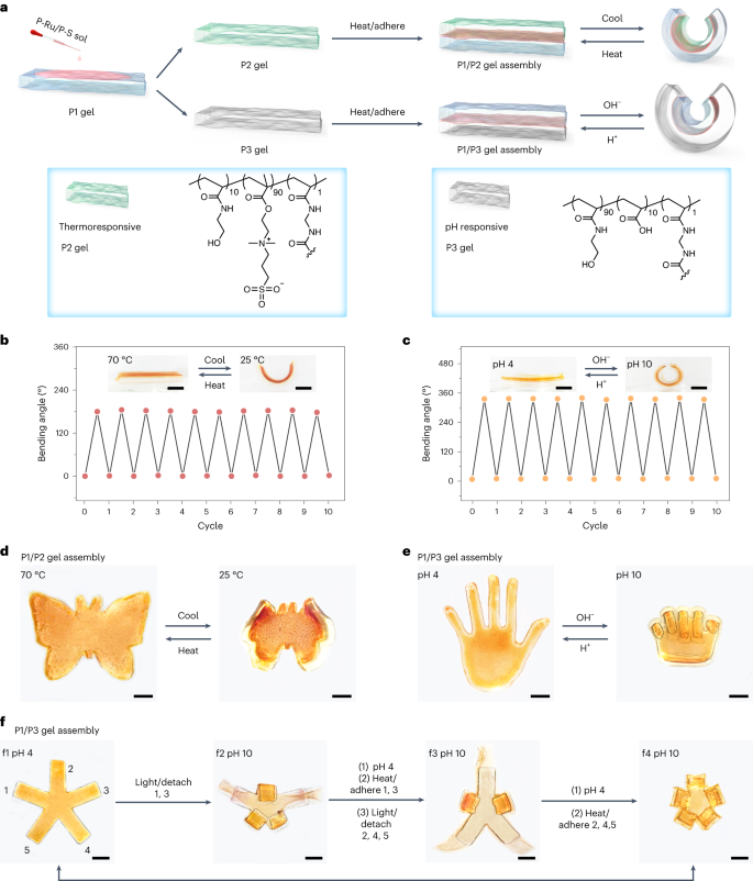 中科大吴思教授，最新Nature Chemistry！