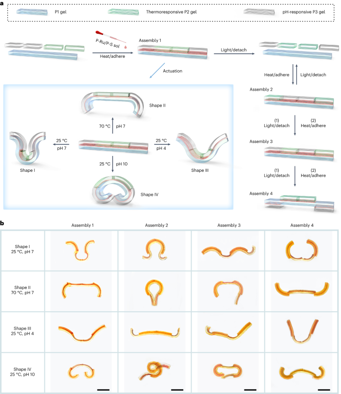 中科大吴思教授，最新Nature Chemistry！