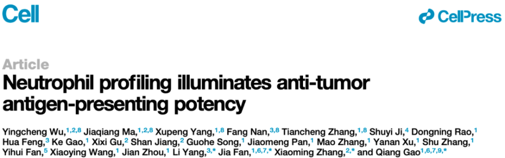 复旦与中科院学者在Cell发文，揭示中性粒细胞的抗原提呈潜能