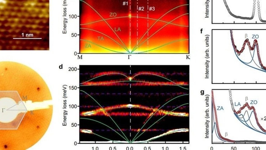 二维极性材料中，光学声子的奇异行为一目了然 | 科研新发现