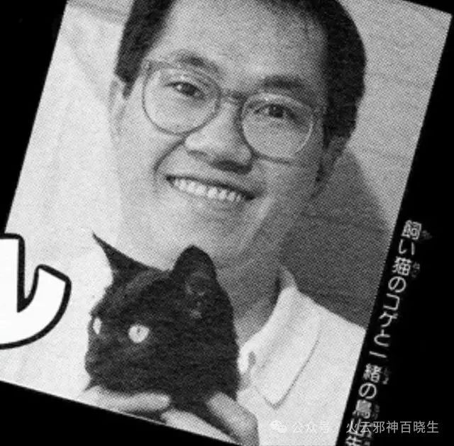 鸟山明：我是如何做一名合格的猫奴的！