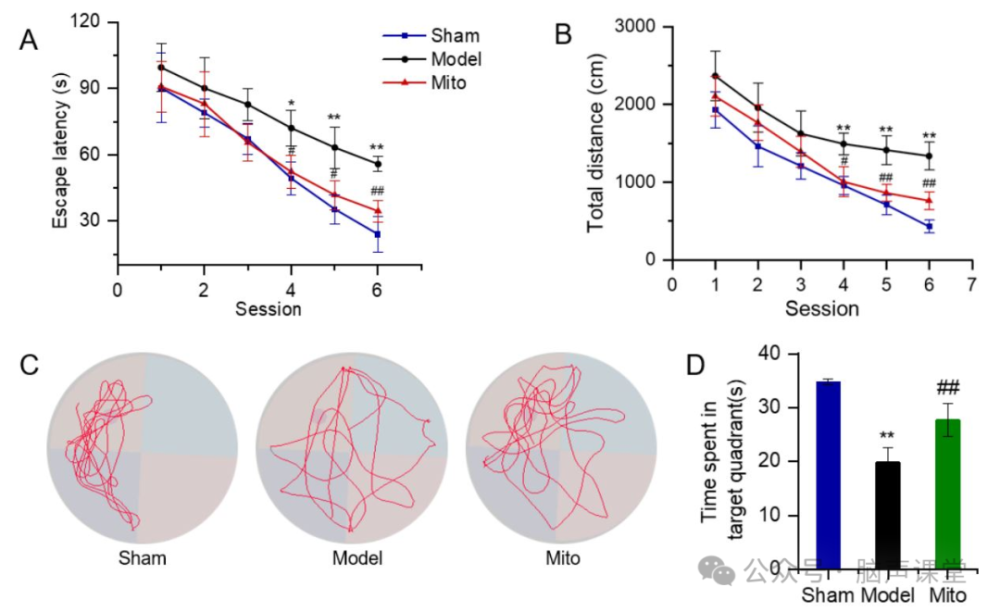 脑声课堂丨啮齿动物阿尔茨海默症模型及常用行为学方法评价