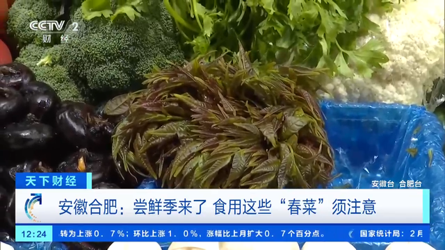 “春菜”陆续上市！专家提醒：这几类人群尝鲜要谨慎