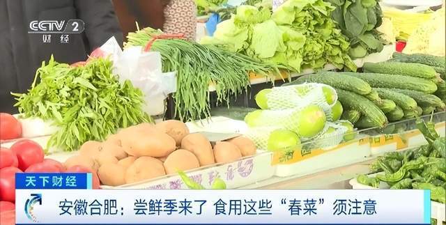 “春菜”陆续上市！专家提醒：这几类人群尝鲜要谨慎