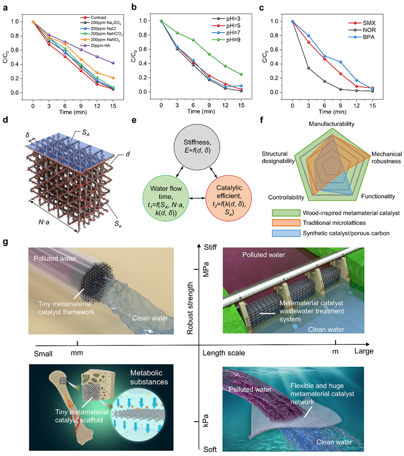 香港城大吕坚院士/华中科大史玉升教授Nature子刊：3D打印超材料催化剂，用于稳健和高通量的水净化系统