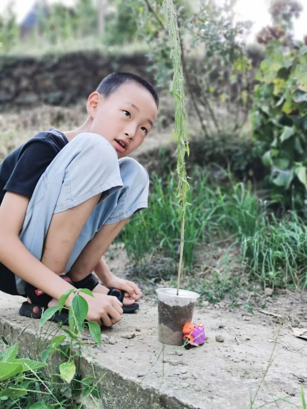 “那就退掉奥数班吧！” 新学期, 中产父母开始“教育降级” ...