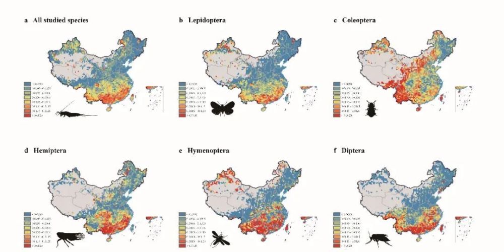 魏辅文/乔格侠合作从多个维度揭示中国昆虫生物多样性格局