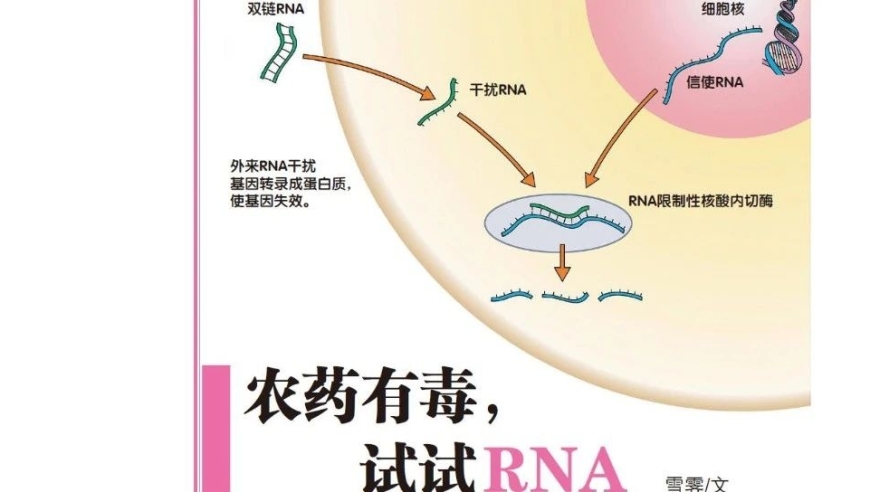 农药太毒，不如尝试RNA