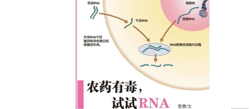 农药有毒，试试RNA