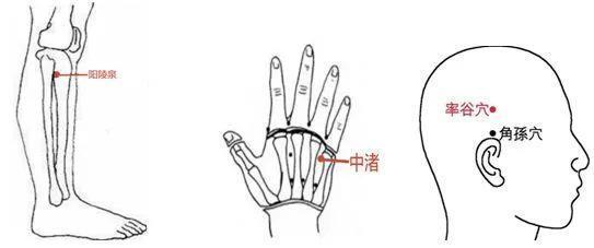 怎样养出乌黑亮丽好头发？护发小妙招请查收