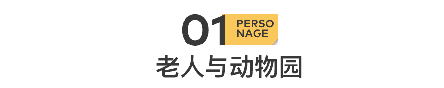 网红动物园后续：有人毒死了狮子......