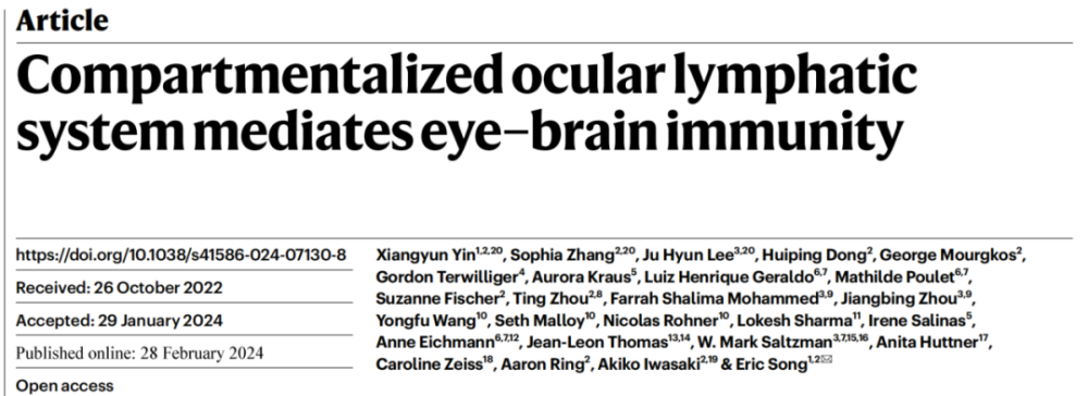 《自然》：眼睛竟是大脑的免疫屏障！耶鲁团队发现，眼睛后部与脑膜淋巴管共享回路，具有统一的免疫反应丨科学大发现