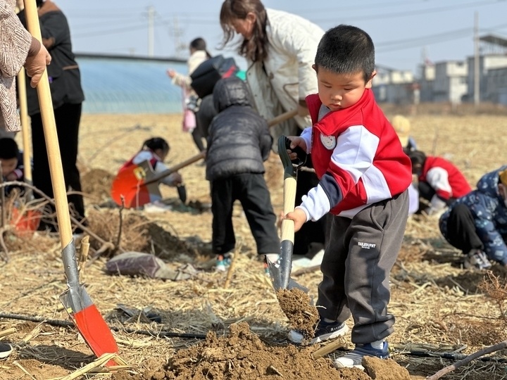 把植树活动搬进“大农场”：看小树向下扎根，孩子向上生长