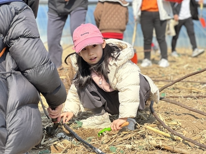 把植树活动搬进“大农场”：看小树向下扎根，孩子向上生长