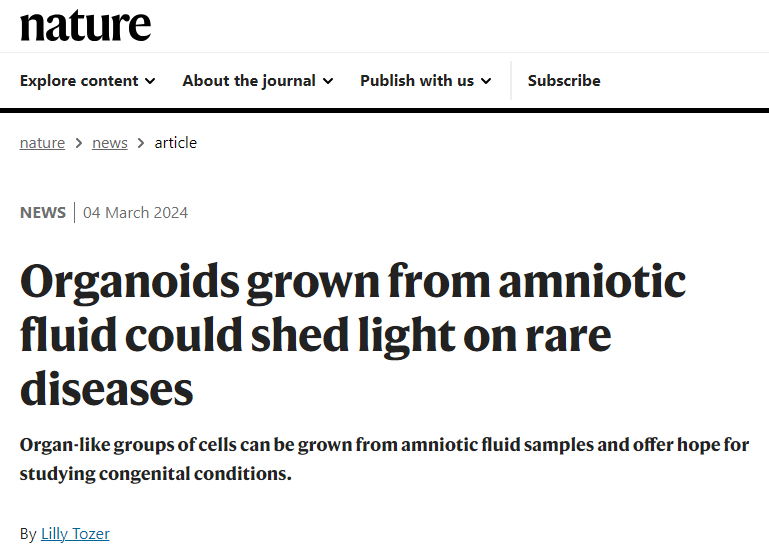 Nature | 利用羊水细胞开发类器官：对抗罕见疾病的新希望