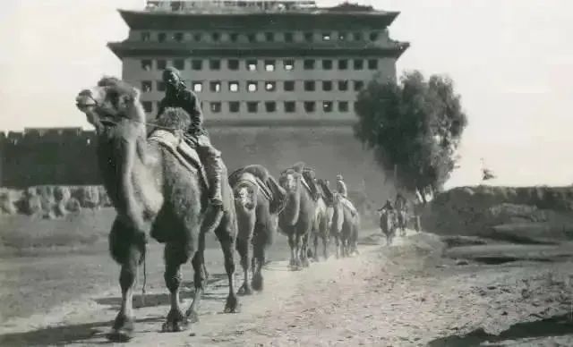 旧影｜1910-1929，铁皮箱中的半部民国史