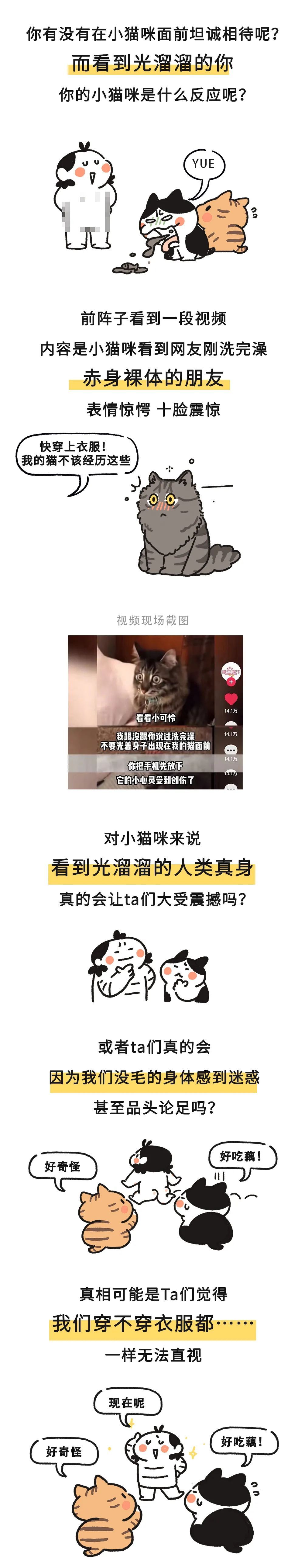 当我们光溜溜出现在小猫咪面前，ta们会怎么想？