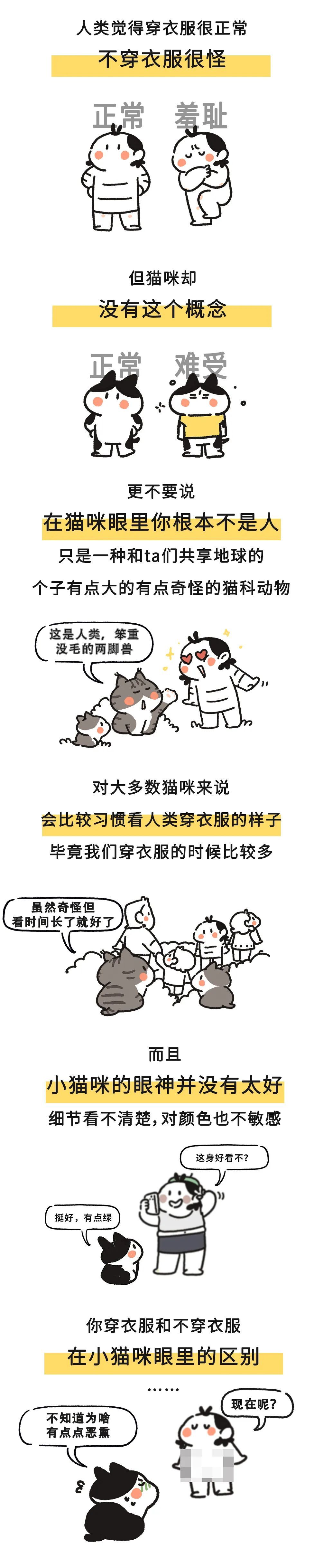 当我们光溜溜出现在小猫咪面前，ta们会怎么想？