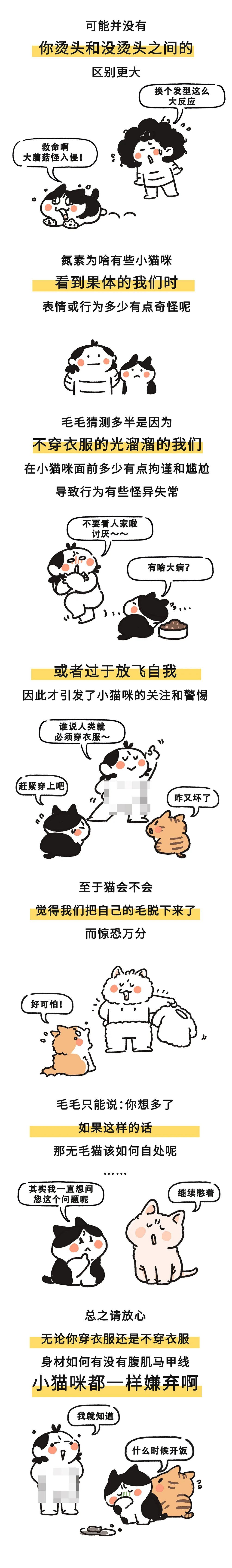 当我们光溜溜出现在小猫咪面前，ta们会怎么想？