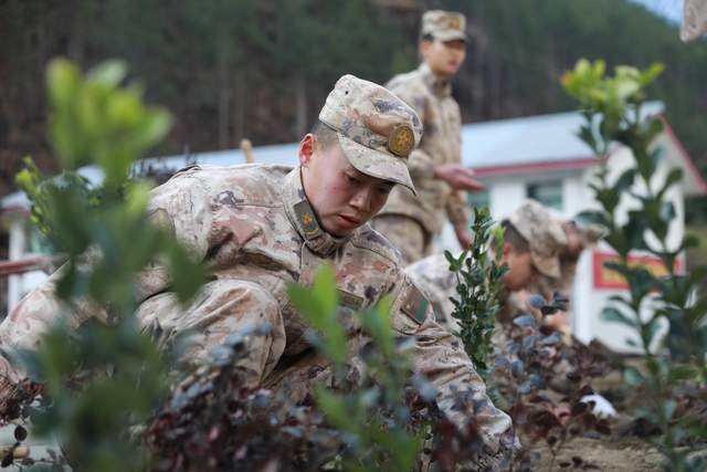 万物复苏！和兵哥一起植此青绿