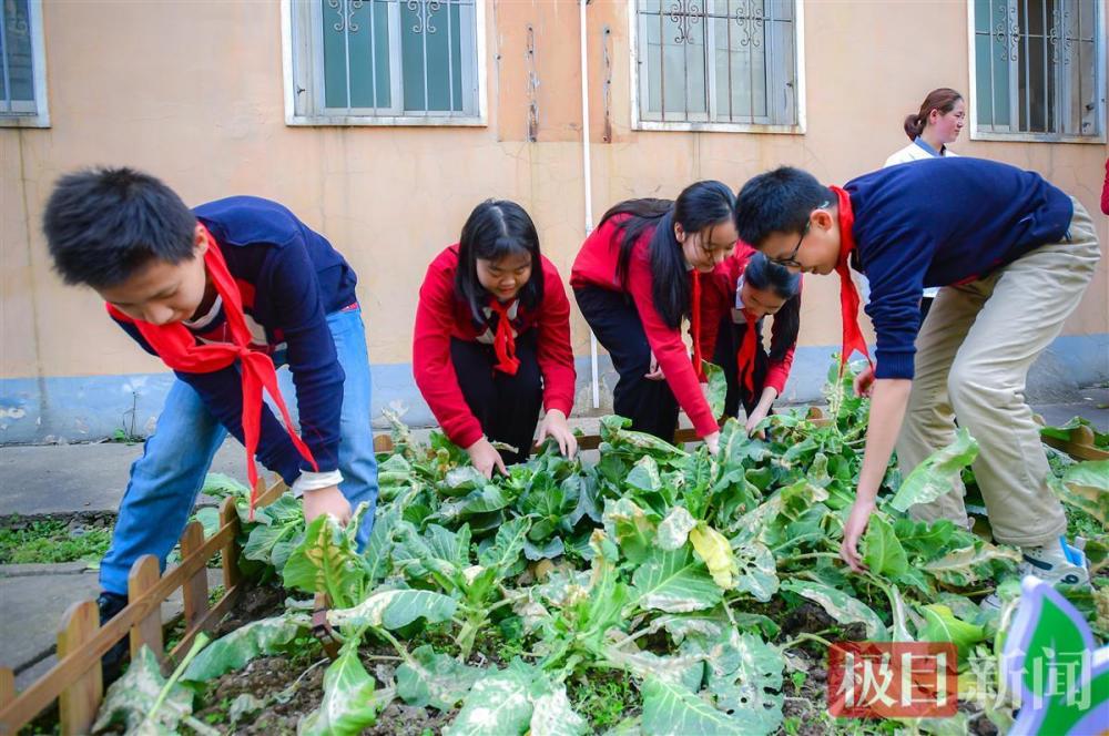 “植”此青绿，绿色的种子种进孩子心里