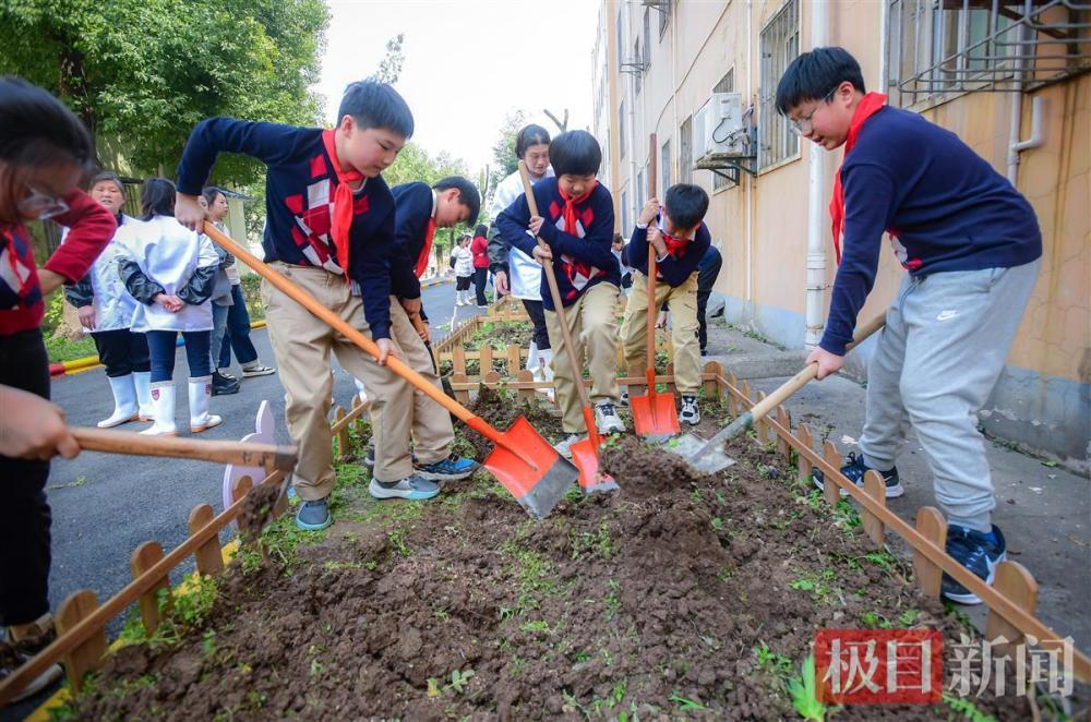 “植”此青绿，绿色的种子种进孩子心里