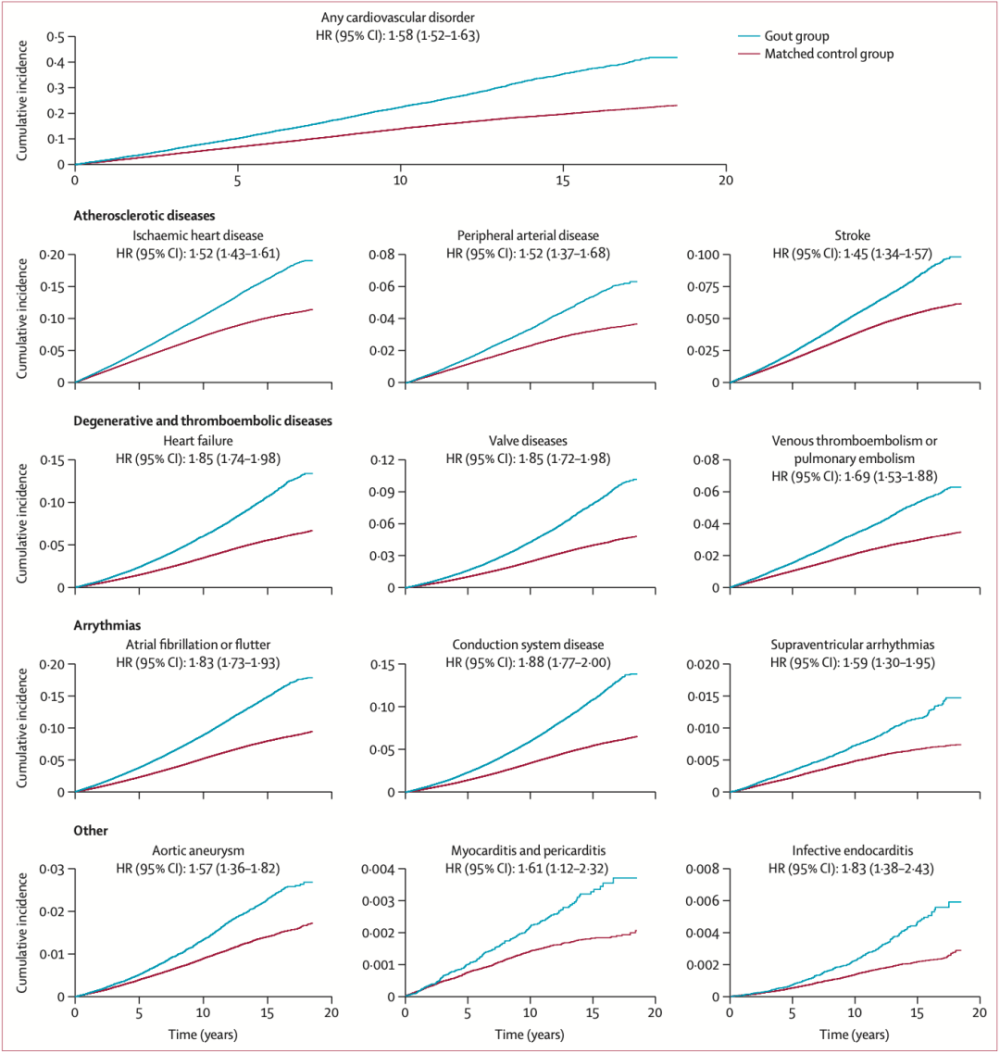 《柳叶刀》子刊：迄今最全面的研究首次证实，痛风至少增加12种心血管疾病的风险丨临床大发现