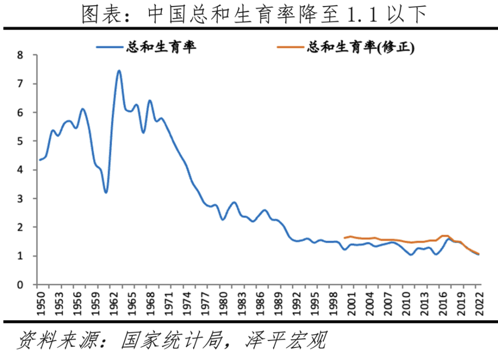 中国生育报告2024