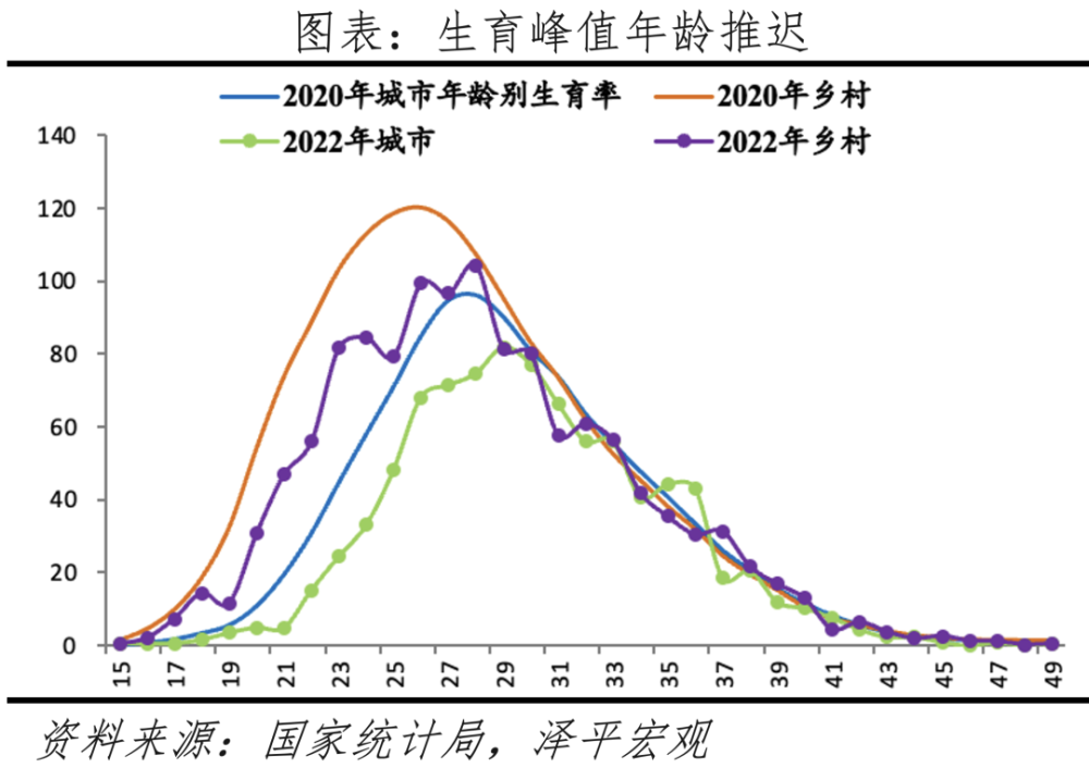 中国生育报告2024