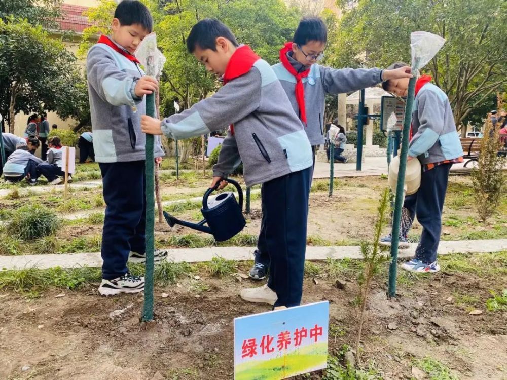 植树节，闵行这些孩子们种上中草药了