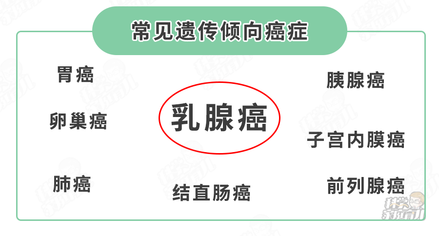 家族中，有哪些高发遗传病生娃易中招？