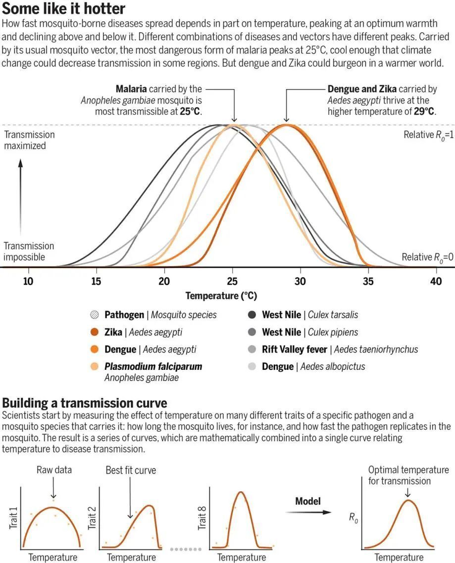 科学与艺术的融合！Science评选年度科学图片